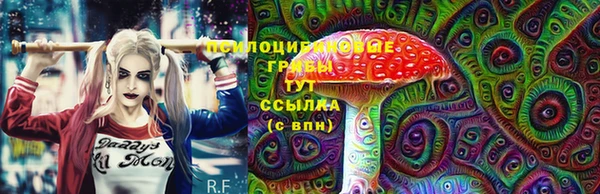 молекула духа Зерноград