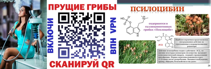 Псилоцибиновые грибы ЛСД  Купить закладки  Нижняя Тура 